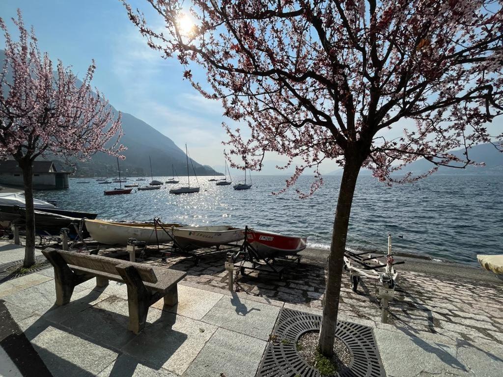 Castelveccana Il Sole Di Calde Lago Maggiore 504 מראה חיצוני תמונה